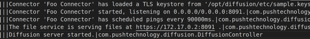 Diffusion server startup log showing custom connector config applied