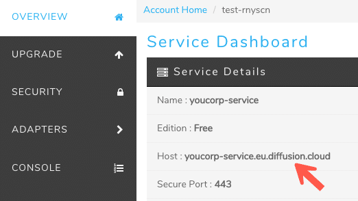 Find the hostname of your service on the Overview tab of the Dashboard